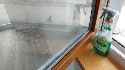 Firma sprzątająca Poznań Hofre